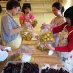 【ブログ】　紫蘇ジュースの作り方
